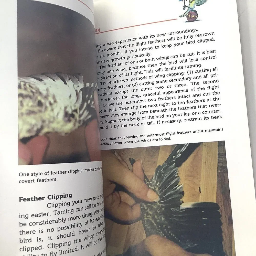 Lot of 2 All about cockatiels and A Step by Step book about‎ Cockatiels A Barrie